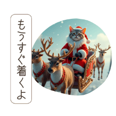 [LINEスタンプ] ももりんこにゃんこ クリスマススタンプの画像（メイン）