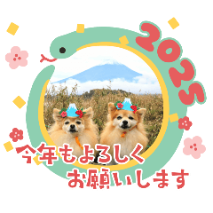 [LINEスタンプ] もなか・いろは  年末年始スタンプ♡2025