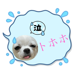 [LINEスタンプ] ちるのお部屋3。