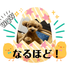 [LINEスタンプ] うらら♪時々いろはの気持ち