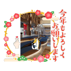 [LINEスタンプ] タニダンスタンプ2