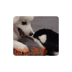 [LINEスタンプ] こまちちち