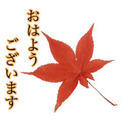 [LINEスタンプ] 秋の町に舞う紅葉（もみじ）