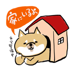 [LINEスタンプ] 178の赤柴スタンプ