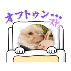 [LINEスタンプ] コロンビーム3