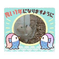 [LINEスタンプ] とてもかわいいハムスターのスタンプ