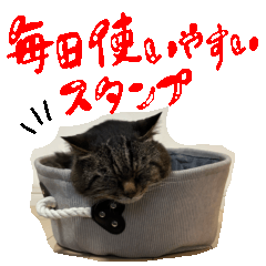 [LINEスタンプ] ちゃたろうの毎日使いやすいスタンプ