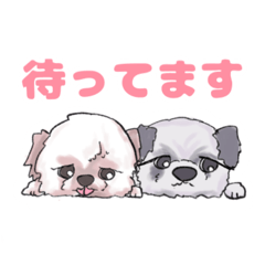 [LINEスタンプ] ここともか