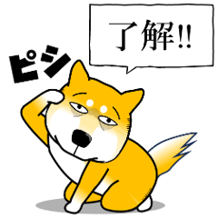 [LINEスタンプ] よく職務質問をうける柴犬2