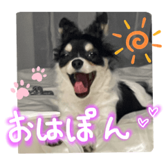 [LINEスタンプ] ぽんポンPONちゃん