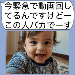 [LINEスタンプ] ⚠️緊急で動画回してる煽り赤ちゃん