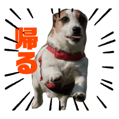 [LINEスタンプ] ルーク（2）