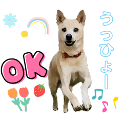 [LINEスタンプ] らぶちゃん4