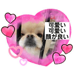 [LINEスタンプ] おこげりんの推し活