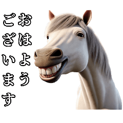 [LINEスタンプ] リアル動物 馬（白毛）敬語