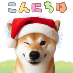 [LINEスタンプ] BIGスタンプ 柴犬⛄️