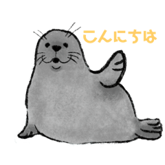 [LINEスタンプ] こんにちは、あざらしさん