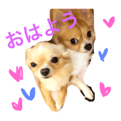 [LINEスタンプ] みるくfam