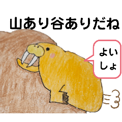 [LINEスタンプ] 元気で可愛いセイウチ
