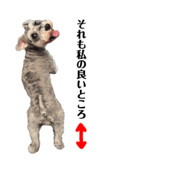 [LINEスタンプ] シュナウザー好きが使うスタンプ3