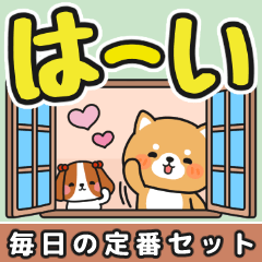 [LINEスタンプ] 毎日使える♪ずっと定番 #柴犬クッキー6