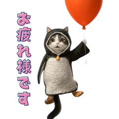 [LINEスタンプ] 動く！ペンギン猫の冬