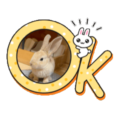 [LINEスタンプ] ジュディポップス巡査