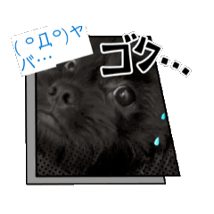 [LINEスタンプ] 動くペキプーブラザーズ