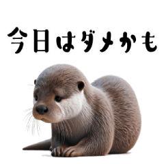 [LINEスタンプ] リアルなカワウソ3【体調不良編】