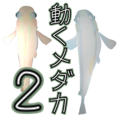 [LINEスタンプ] 動くメダカ2