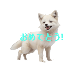 [LINEスタンプ] しろきつね