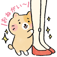 [LINEスタンプ] キャットカンパニー 1