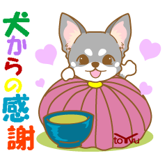 [LINEスタンプ] わんこ日和(わんこからの言葉)-toYvu-