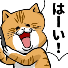 [LINEスタンプ] どうぶつが大好き01_pop_ver5返信用