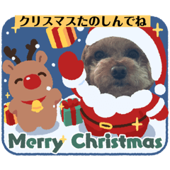 [LINEスタンプ] お祝いメッセージ1