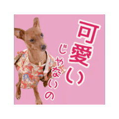 [LINEスタンプ] ミニピン(レッド)のスタンプ