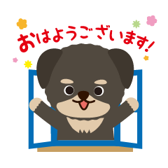 [LINEスタンプ] チワプーの感謝の気持ちを伝えるスタンプ