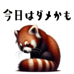 [LINEスタンプ] リアルなレッサーパンダ3【体調不良編】