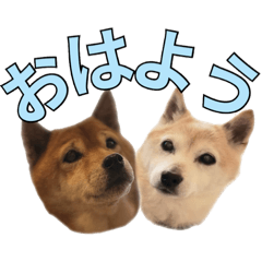 [LINEスタンプ] まめころのスタンプの巻
