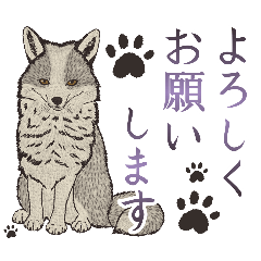 [LINEスタンプ] さっと描いたきつねのスタンプ。日常編2