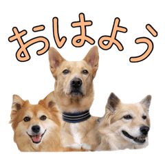 [LINEスタンプ] ナナ家のスタンプの巻