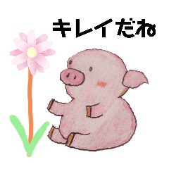 [LINEスタンプ] にぎやか豚ちゃん