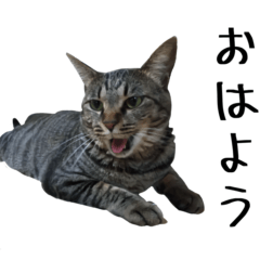 [LINEスタンプ] 【ららみ】のスタンプ