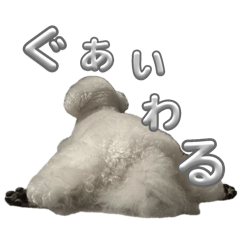 [LINEスタンプ] ビションフリーゼぬん3