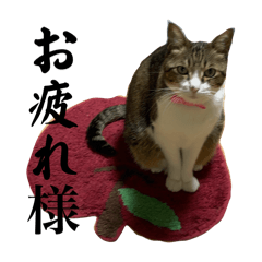 [LINEスタンプ] ごえもん日和20