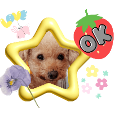 [LINEスタンプ] OKです❤クレオ君とマリーちゃん