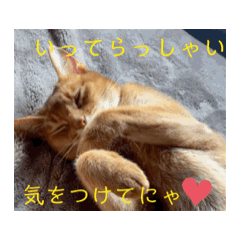 [LINEスタンプ] アビとノルの日常