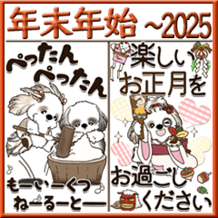 [LINEスタンプ] 【Big】シーズー犬 『年末年始』