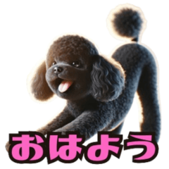 [LINEスタンプ] 黒トイプードルのルーニーの日常スタンプ