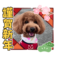 [LINEスタンプ] マルプーのモブ5